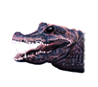 Crocodile