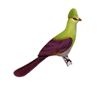 Touraco